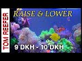 Alkalinity How To Raise Lower And BALANCE YOUR ALKALINITY Alkalinity How To Raise Lower And BALANCE YOUR ALKALINITY