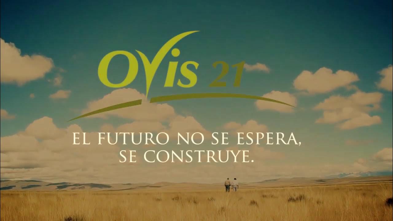 Savory Network Hub Ovis 21 YouTube