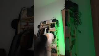 Sarem Uysal Ti̇ktok En Yeni̇ Akimlar