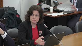 Audição do Presidente do Grupo de Trabalho para a Rede de Referenciação Hospitalar | Susana Correia