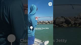 🎣 Top Fishing Spots in Tampa Bay (Pinellas County, FL) #shorts