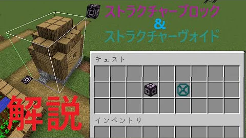 ストラクチャーブロックswitch