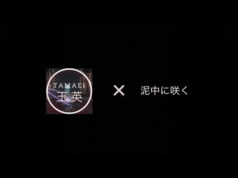 DARK SOULS lll ×泥中に咲く　[MAD]