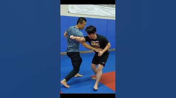 Speed of Kung Fu! Xingyi #kungfu #martialarts #karate