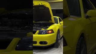 Eaton Supercharged Terminator Cobra Dyno Pull 💨 #shorts