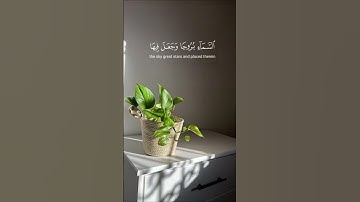 #سورة_الفرقان#الفرقان #ماهر_المعقيلي #ماهرالمعيقلي #القارئ_ماهر_المعيقلي #الشيخ_ماهر_بن_حمد_المعيقلي
