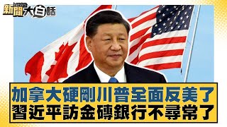 加拿大硬剛川普全面反美了 習近平訪金磚銀行不尋常了【#新聞大白話】20250430-6｜#鄭村棋 #賴岳謙 #呂禮詩