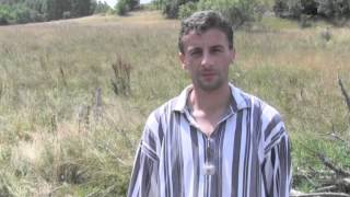 Download Lagu Hido Muratovic - Selo Ursule, krava za porodicu Bazdar. MP3