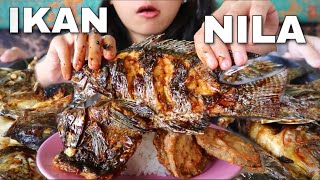 MUKBANG IKAN NILA SEPUASNYA LANGSUNG DARI KOLAM 😍 DI KOLAM PANCING ACUN HAMPARAN PERAK #jejezhuang