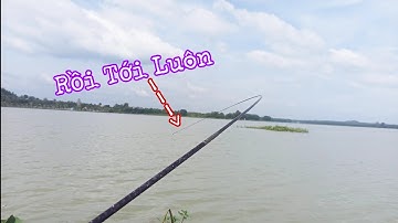 Câu Cá Ổ | Câu Đài | Câu Cá Chép, Cá Rô Phi Siêu quấn Ổ Và Gặp Phải Hugo Khủng | Nghiện Câu TV | T17