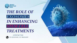 The Role of Exosomes in Enhancing Stem Cell Treatments In 2026 | Exosomes: The Future of Healing |