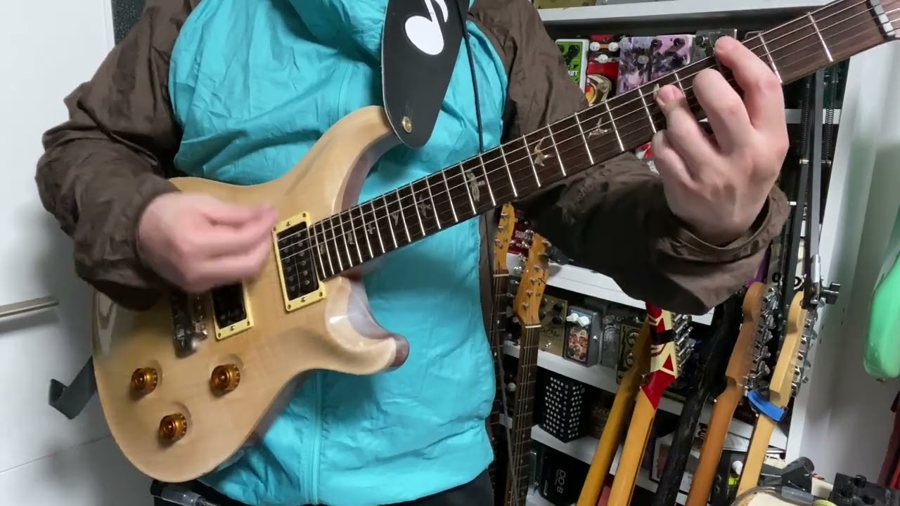 Paul Reed Smith(PRS)"Custom 24 10Top Brazilian Limited(2003)"