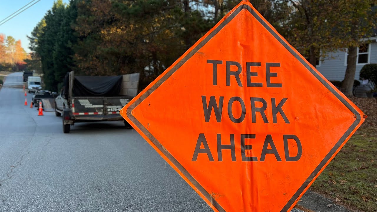 Tree Service, Triming & Stump Grinding in YouTube