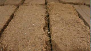 Coco Peat  Venus International