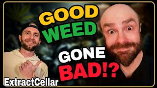 The Difference Between Dispensary Cannabis & Home Grown (DGC Cup Reserve Edition)
