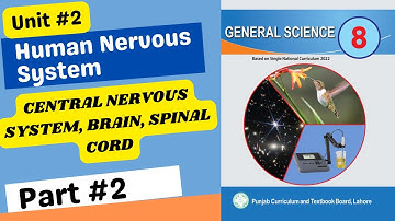 Class 8 new science book chapter 2 part 2 || Human Nervous System || Class 8 new science book 2023