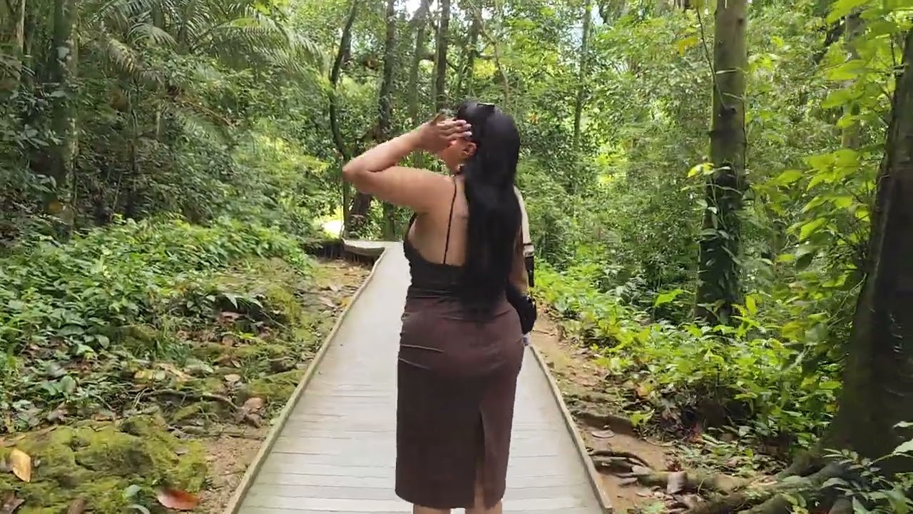 Recorriendo un poco el Jardín Botánico de Rio de Janeiro. Increíble las plantas que hay. 