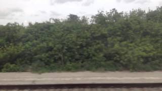 Out The Window Of Amtrak's Silver Meteor May 2014: Entering West Palm Beach