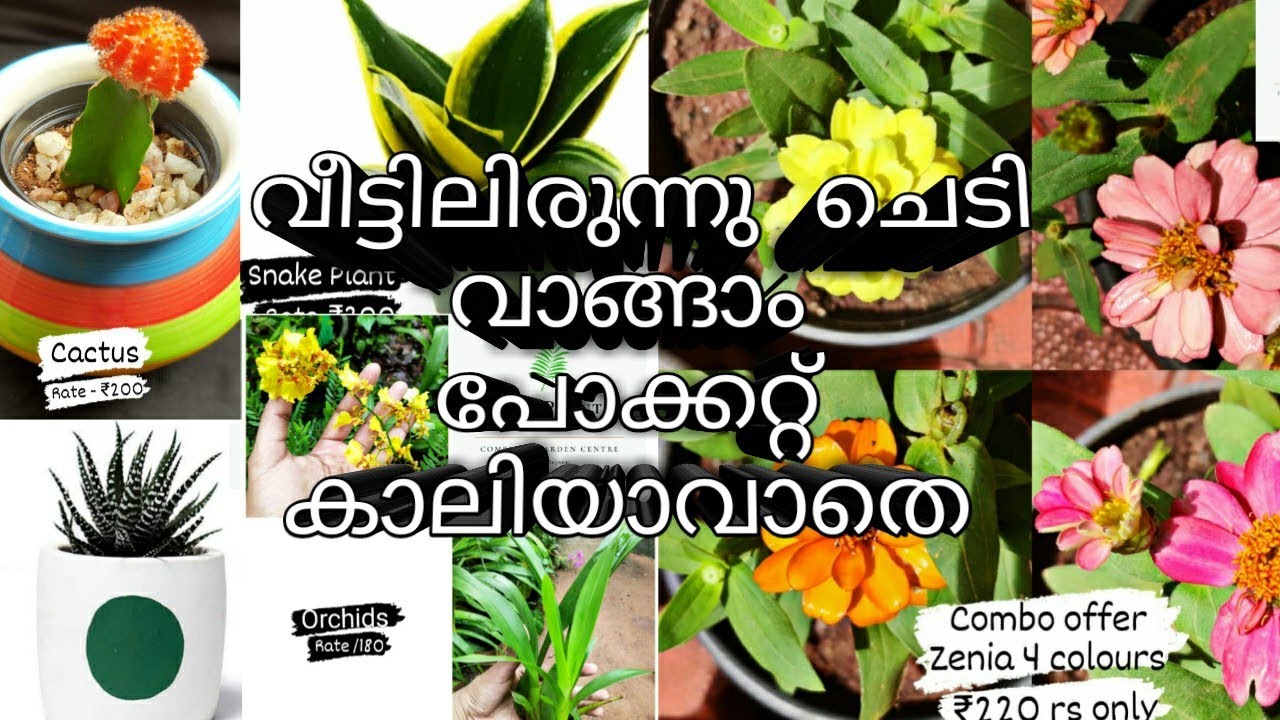 Plant Nursery Visit, Plants price with names //Buy Plants at Low Prices