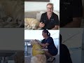 Meet the man behind the viral Jet‑Skiing Dog in Ft. Lauderdale