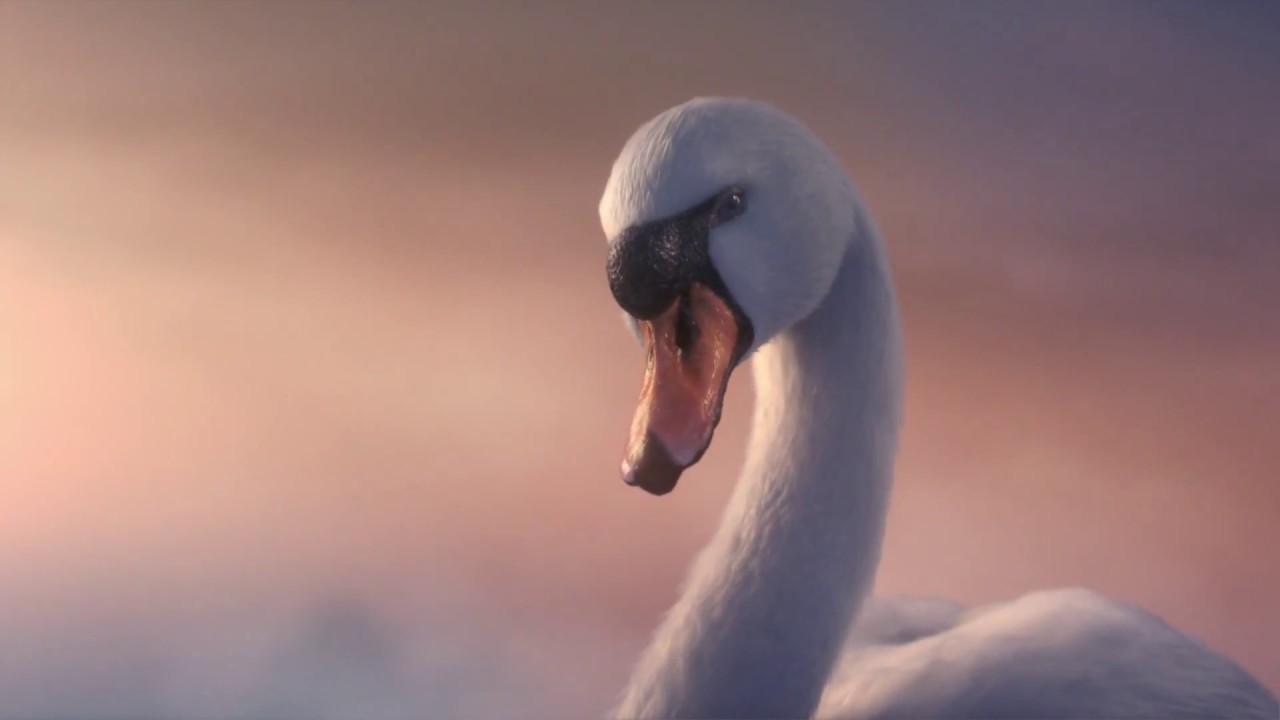 l-c-mortgages-tv-advertising-campaign-glide-by-advertising-agency