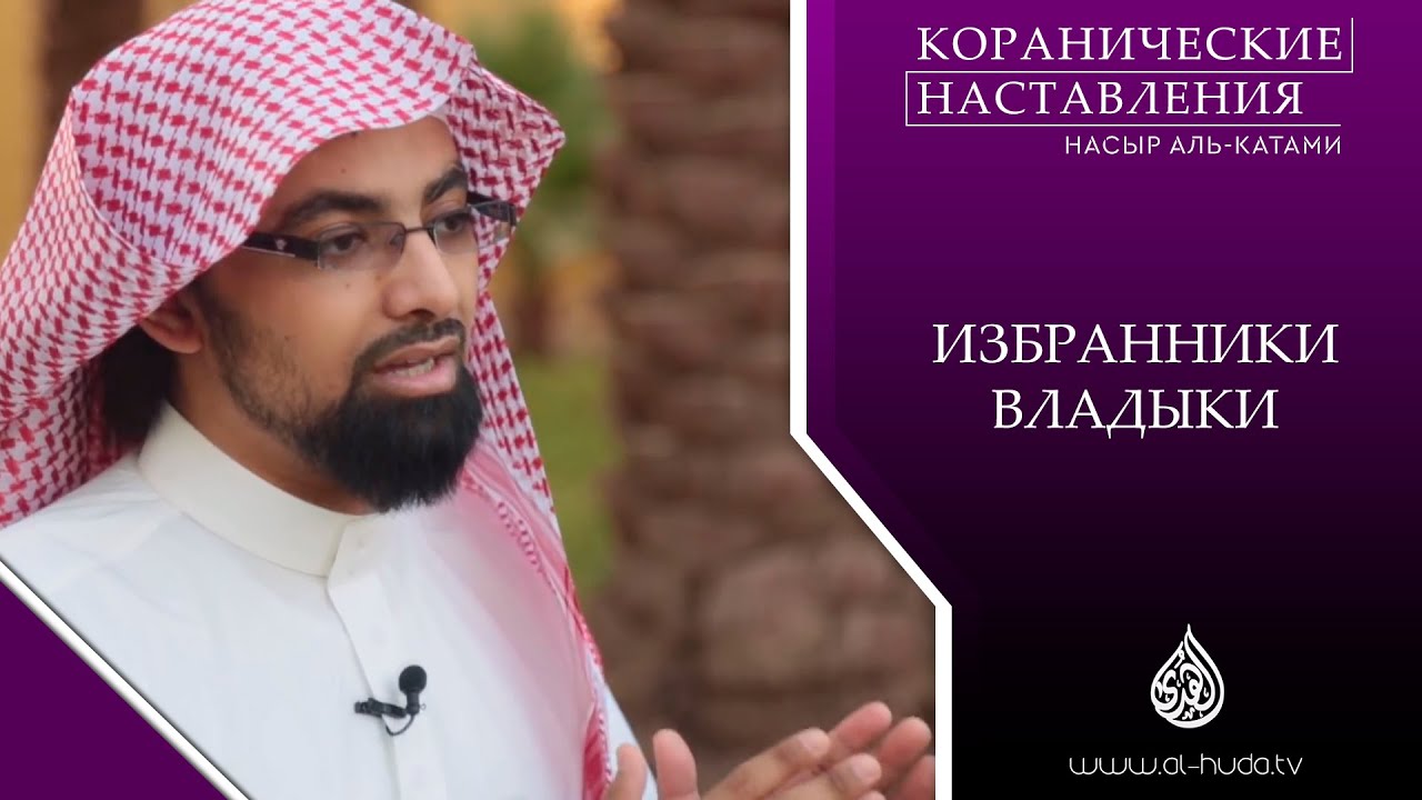 переводчик для шейха читать