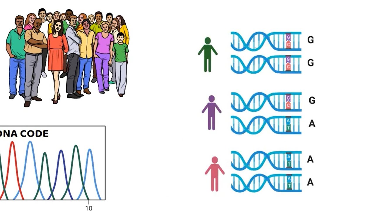 Learn about the Gumina lab | Ohio State Medical Center