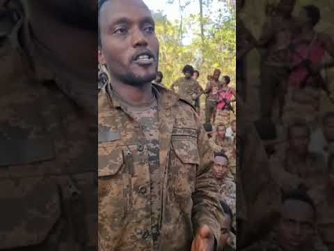 Loltoota PP Gujii Lixaatti WBO Tiin Booji Aman