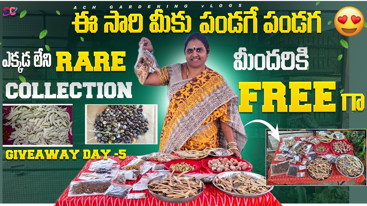 మీందరికి freeగా ఇస్తునా rare seeds ఇవే|Don't miss this chance #gardening #freeseeds
