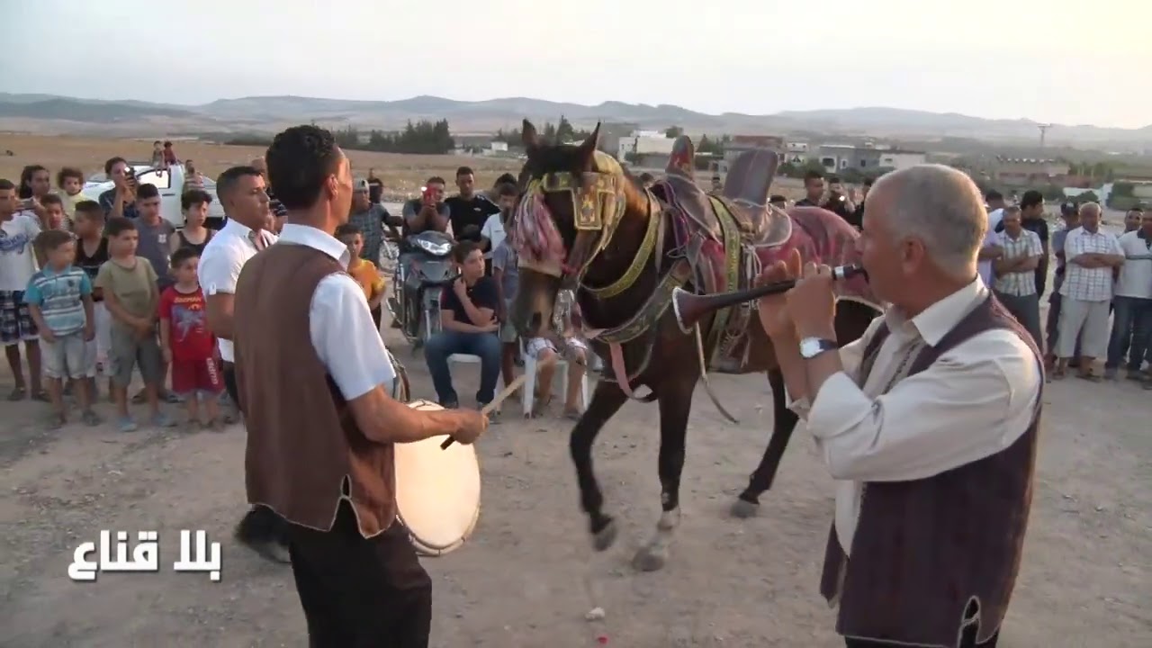 bila kinaa| فارس يقوم بمراقصة الخيول ويقدم عرضا مبهرا في محفل عرس