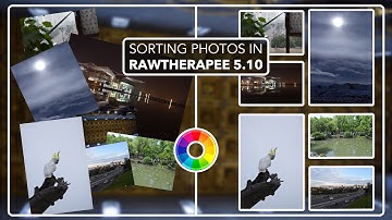 RawTherapee: The Best Image Sorting Workflow (2024)