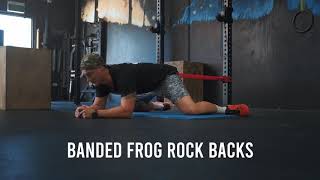 #017 Banded Frog Rock Backs || Mobility / Accessory