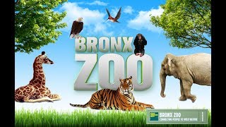 Экскурсия в самый крупный зоопарк Нью-Йорка - BRONX ZOO Экскурсия в самый крупный зоопарк Нью-Йорка - BRONX ZOO