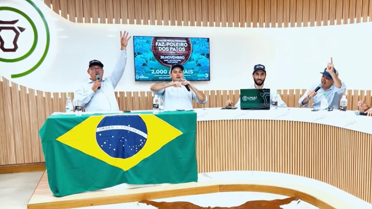 INSTITUCIONAL UNAÍ LEILÕES