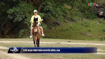Cưỡi ngựa trên thảo nguyên Đồng Lâm | Đất và người Xứ Lạng