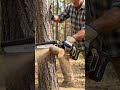 Lightweight, Labor-saving #chainsaw #powertools #yardwork #minichainsaw #ToolReview#buyjoystore