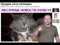 МЕСЯЧНЫЕ НОВОСТИ #4 II Август 2019