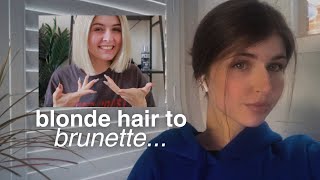 I dyed my blonde hair to brown at home: keracolor mocha