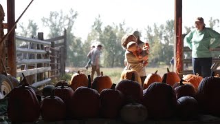 Poverello Center in Missoula turns fall harvest into hope for unhoused