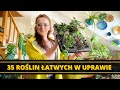 35 nowych łatwych w uprawie ROŚLIN domowych 🌱 VLOG