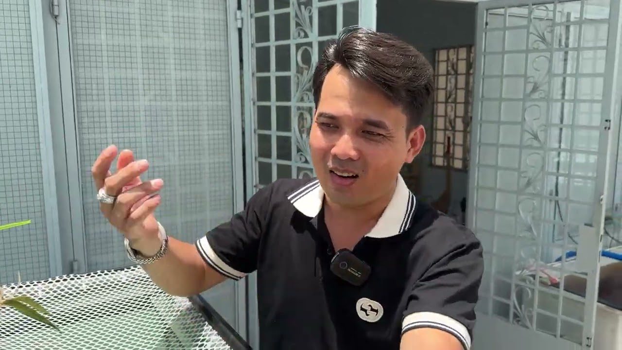 Trồng cây trên hộp lọc