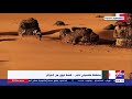النشرة المغاربية أكبر متحف للرسوم الصخرية بالعالم منطقة طاسيلي ناجر قصة تروى من الجزائر