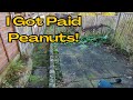 I literally got paid peanuts frozen garden makeover  clearing overgrown neglected yard