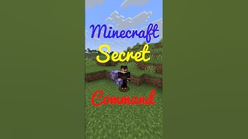 Minecraft Secret Command 💀#shorts #minecraft