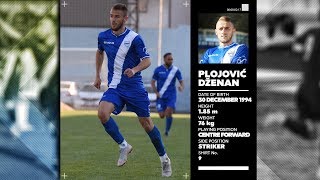 Plojovic Dzenan 2019
