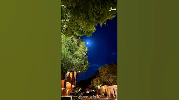 جيهان العروسي منهو عزب يرفع يده تفاعلو طرب لايك اشتركو تعليق ترند فولو جديد 