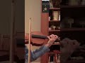 Practicing slow with varied rhythm to increase speed. #violin #orchestra #viola #100daysofpractice