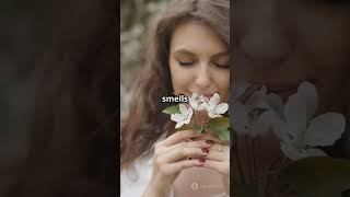 Improve Your Focus And Memory Fast With These 6 Harvard Secrets