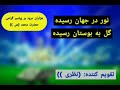نعت فارسی نور در جهان رسیده 