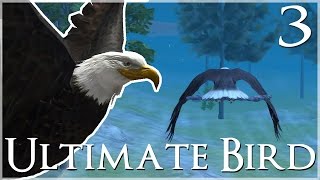 Snakes Are Not Useful Sticks!! 🐦 Ultimate Bird Simulator - Episode #3